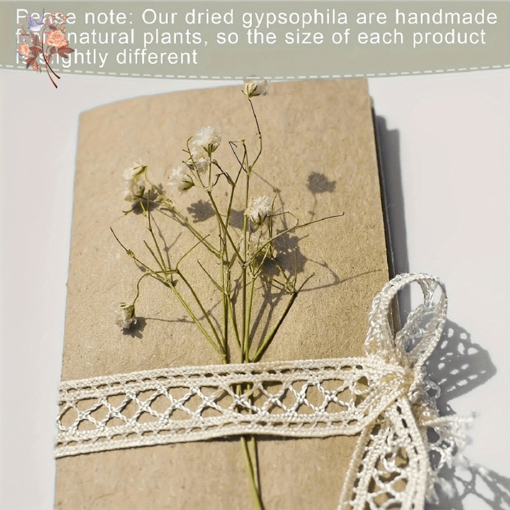 100 Piezas de Flores Secas de  - Embellish Craft reseña y precio